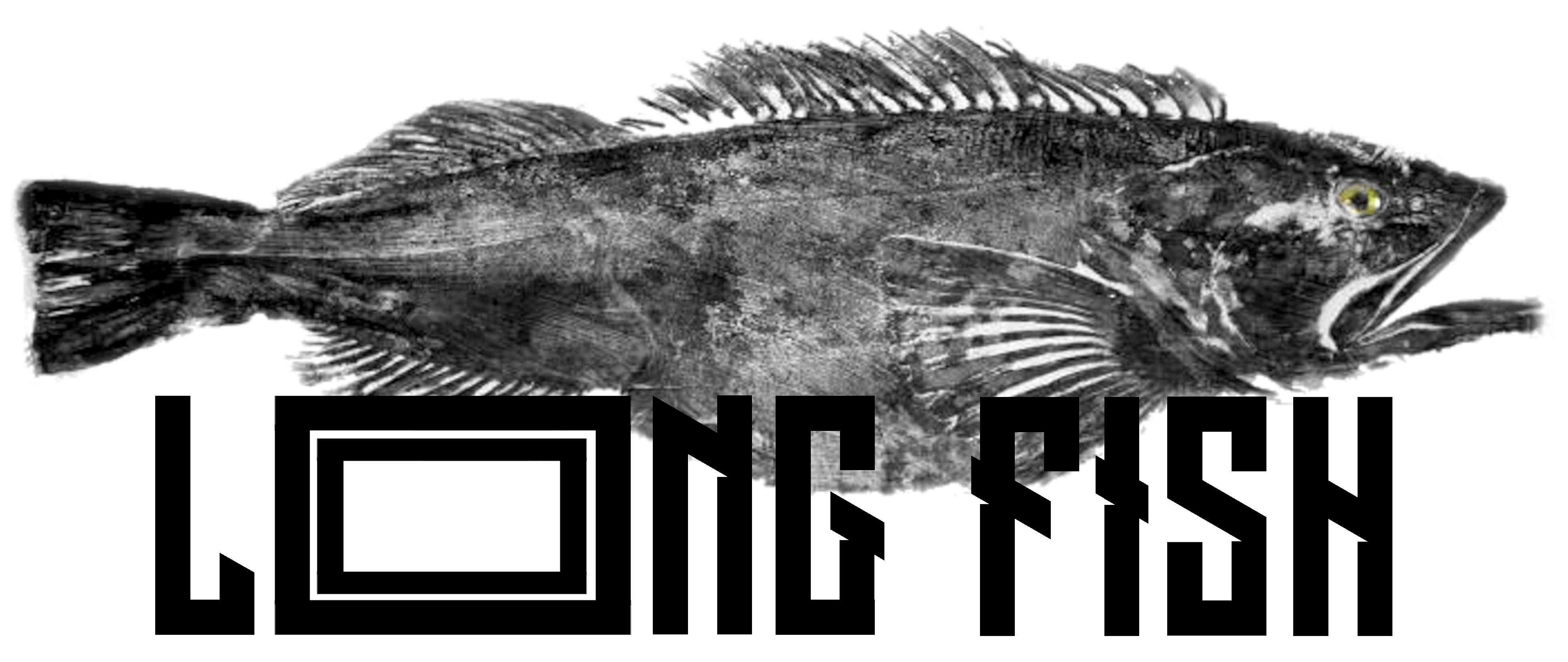 The Long Fish Bauer Surfboards the-long-fish-bauer-surfboards